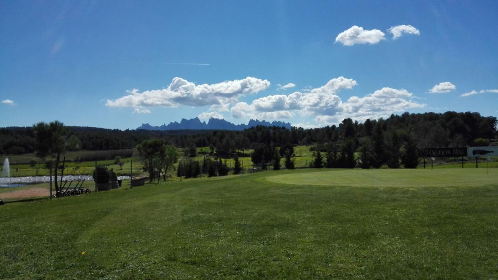 IMG_20170328_140318_1024x575